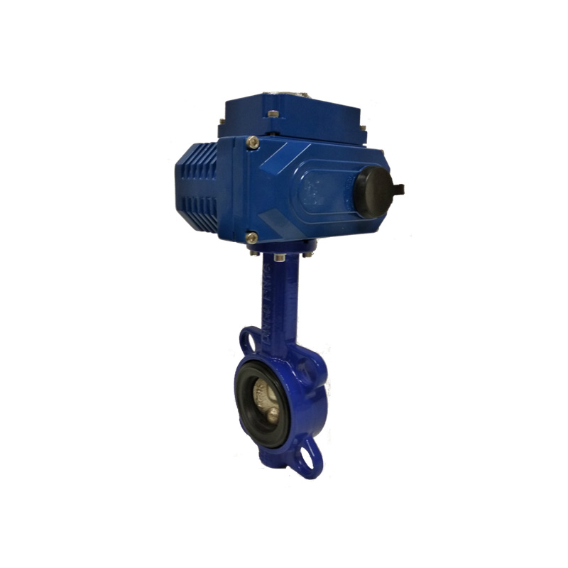 Поворотный затвор дисковый межфланц. (GG20/CF8M) DN600// Управление электропривод E 220V